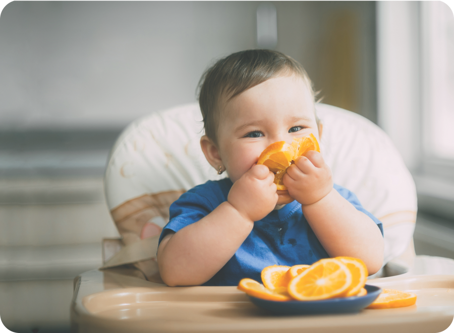Enrich Food<br> Program